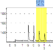 allele quantitation using pyrosequencing