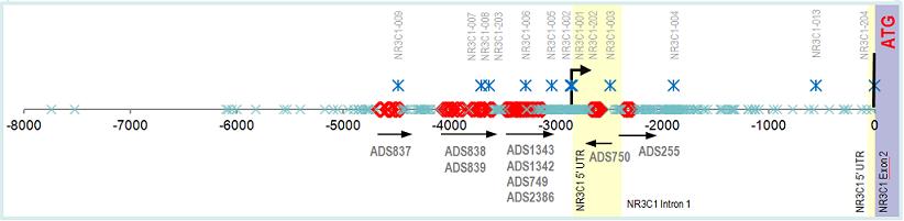 CpG Coverage of a Gene